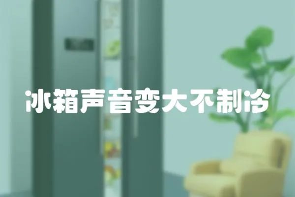 冰箱聲音變大不制冷