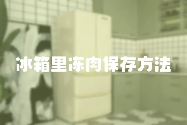冰箱里凍肉保存方法