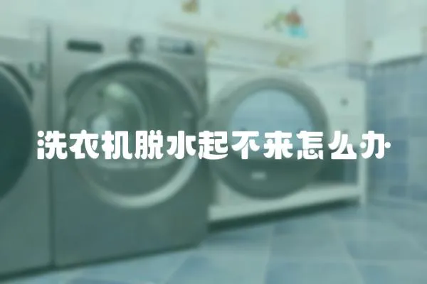洗衣機(jī)脫水起不來怎么辦