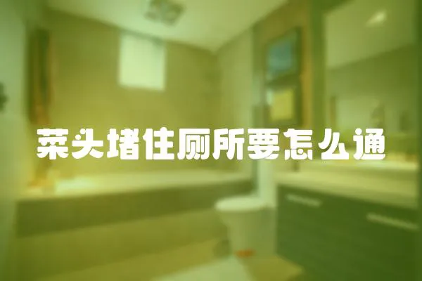 菜頭堵住廁所要怎么通