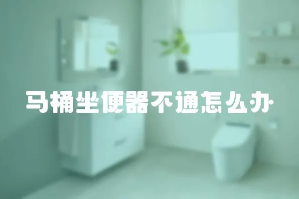 馬桶坐便器不通怎么辦