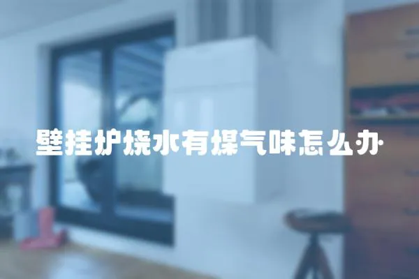壁掛爐燒水有煤氣味怎么辦
