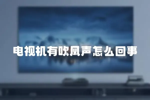 電視機(jī)有吹風(fēng)聲怎么回事