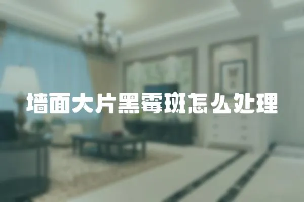 墻面大片黑霉斑怎么處理