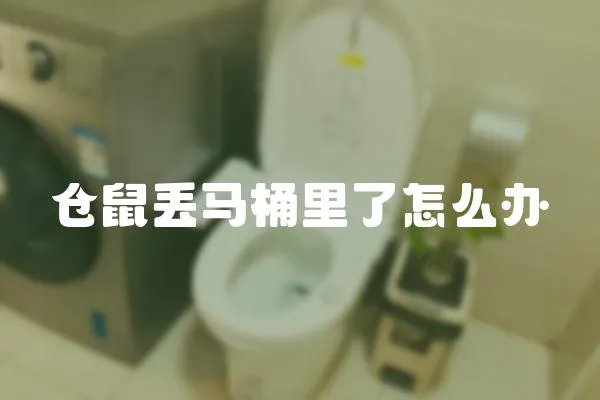 倉鼠丟馬桶里了怎么辦