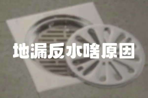 地漏反水啥原因