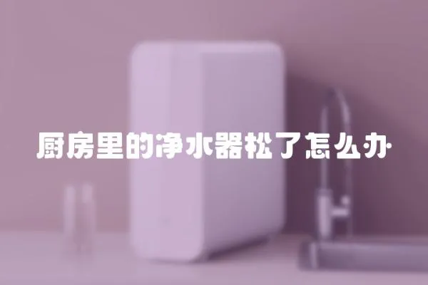 廚房里的凈水器松了怎么辦