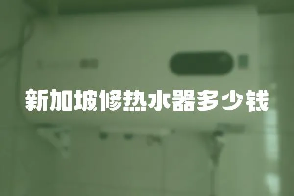 新加坡修熱水器多少錢