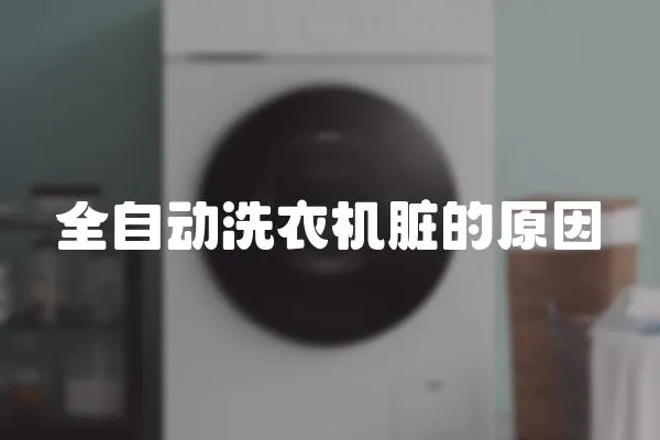 全自動洗衣機臟的原因