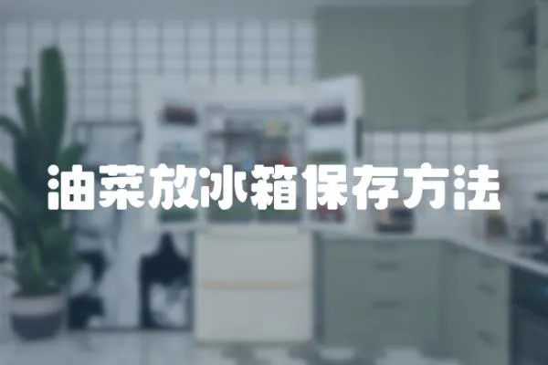 油菜放冰箱保存方法