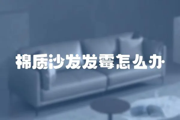 棉質沙發發霉怎么辦