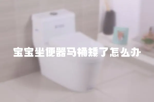 寶寶坐便器馬桶矮了怎么辦