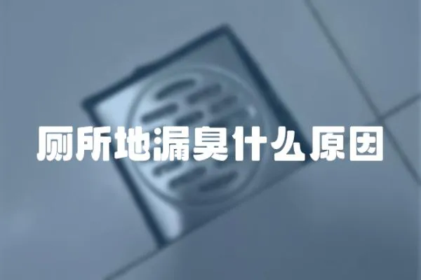 廁所地漏臭什么原因