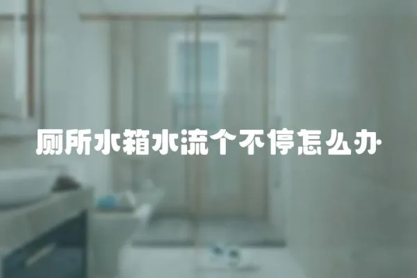 廁所水箱水流個不停怎么辦