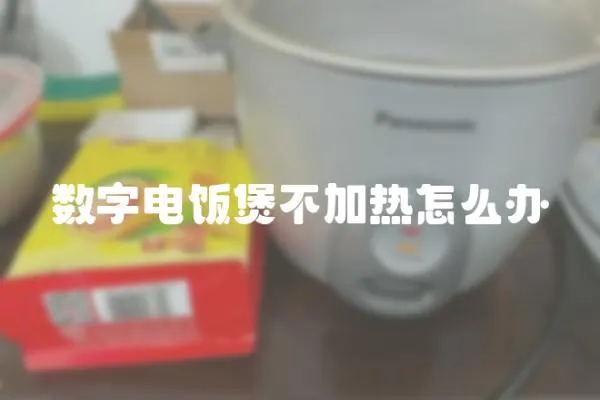 數字電飯煲不加熱怎么辦