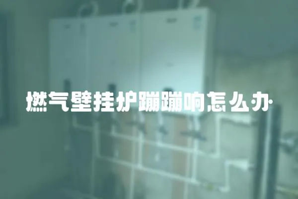 燃氣壁掛爐蹦蹦響怎么辦