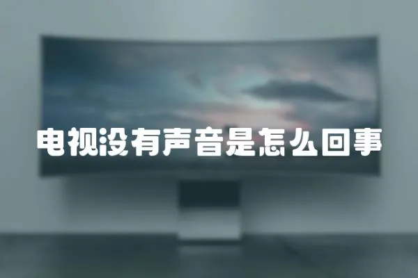 電視沒有聲音是怎么回事