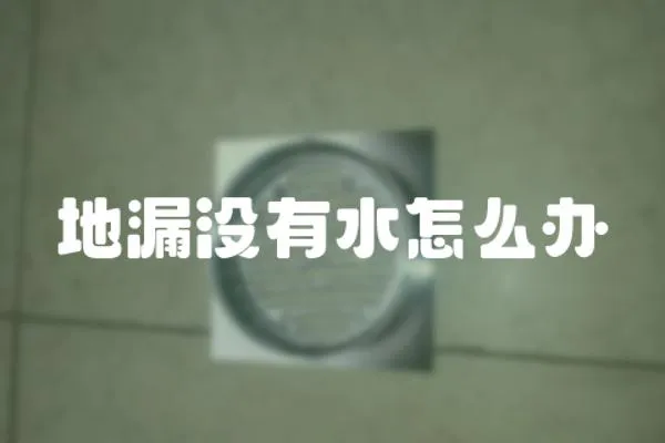 地漏沒有水怎么辦