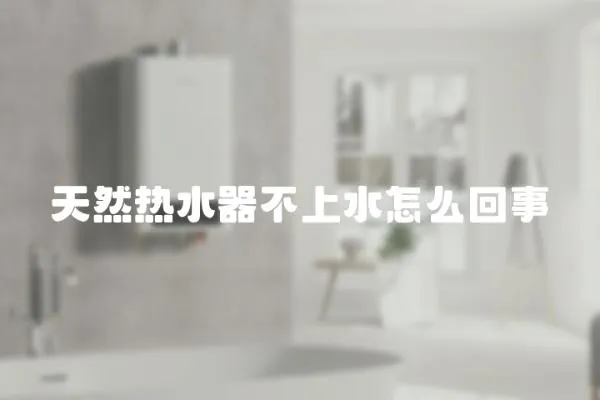 天然熱水器不上水怎么回事