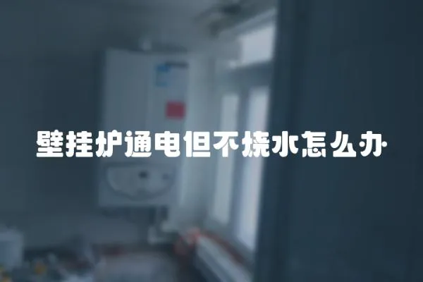 壁掛爐通電但不燒水怎么辦