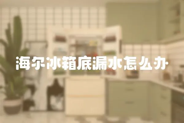 海爾冰箱底漏水怎么辦