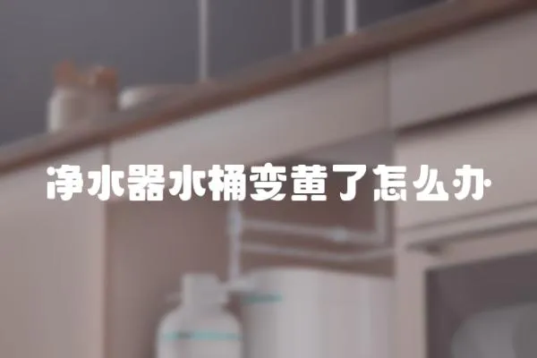 凈水器水桶變黃了怎么辦