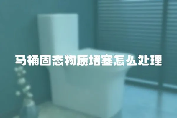 馬桶固態(tài)物質(zhì)堵塞怎么處理
