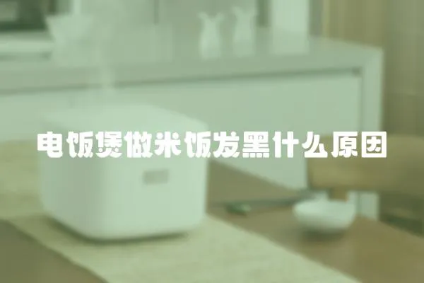 電飯煲做米飯發黑什么原因