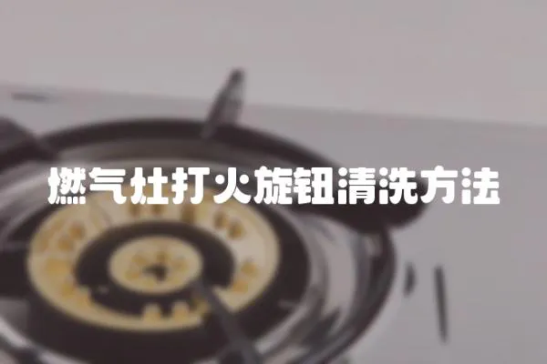 燃?xì)庠畲蚧鹦o清洗方法