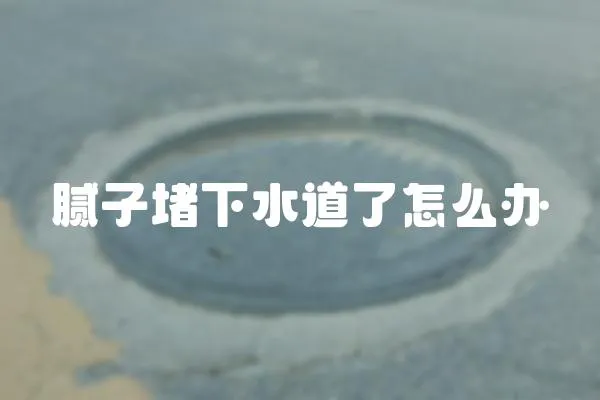 膩子堵下水道了怎么辦