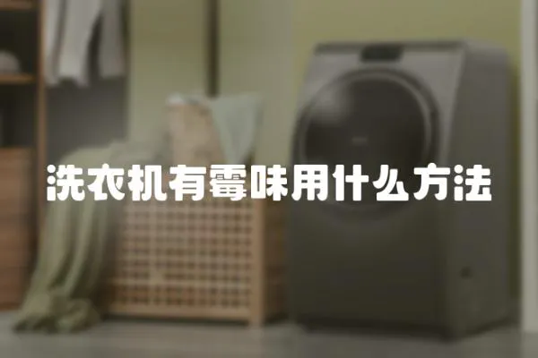 洗衣機有霉味用什么方法