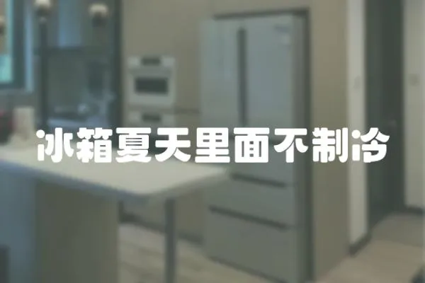 冰箱夏天里面不制冷