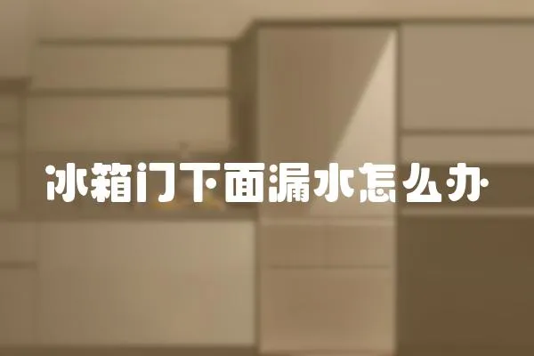 冰箱門下面漏水怎么辦