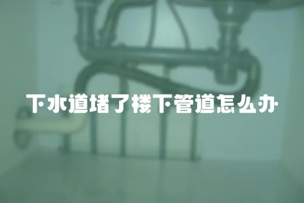 下水道堵了樓下管道怎么辦