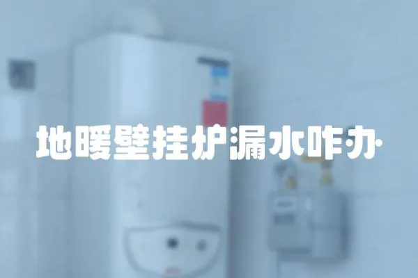 地暖壁挂炉漏水咋办