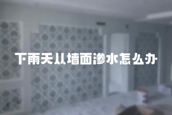 下雨天從墻面滲水怎么辦