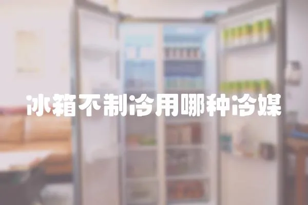 冰箱不制冷用哪種冷媒