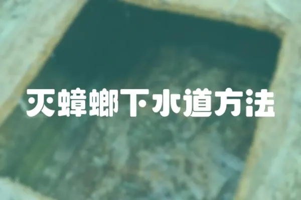 滅蟑螂下水道方法