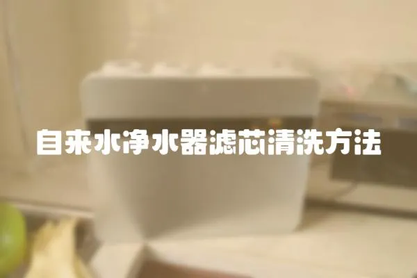 自來水凈水器濾芯清洗方法