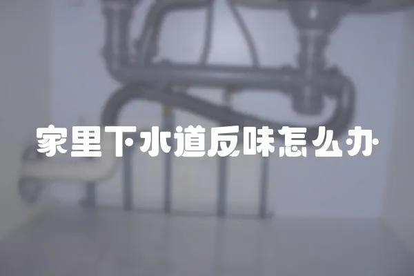 家里下水道反味怎么辦