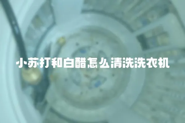 小蘇打和白醋怎么清洗洗衣機(jī)