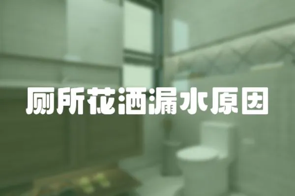 廁所花灑漏水原因