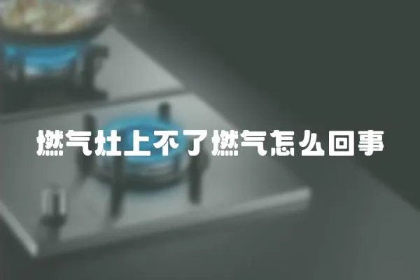 燃?xì)庠钌喜涣巳細(xì)庠趺椿厥?></a></div>
                    <div   id=