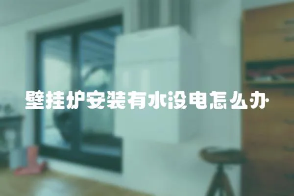 壁掛爐安裝有水沒電怎么辦