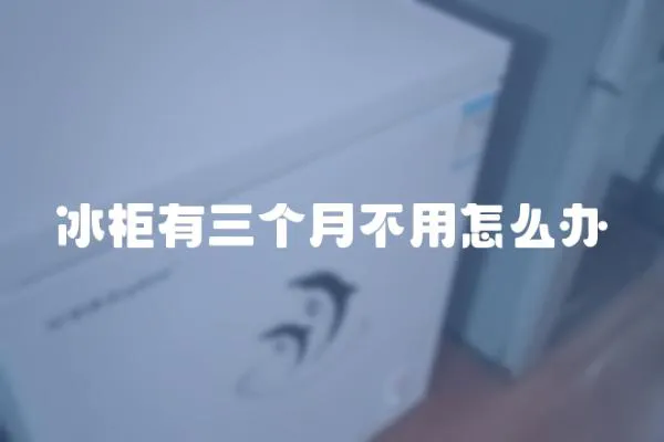 冰柜有三個月不用怎么辦