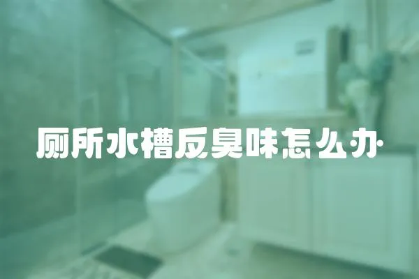 廁所水槽反臭味怎么辦