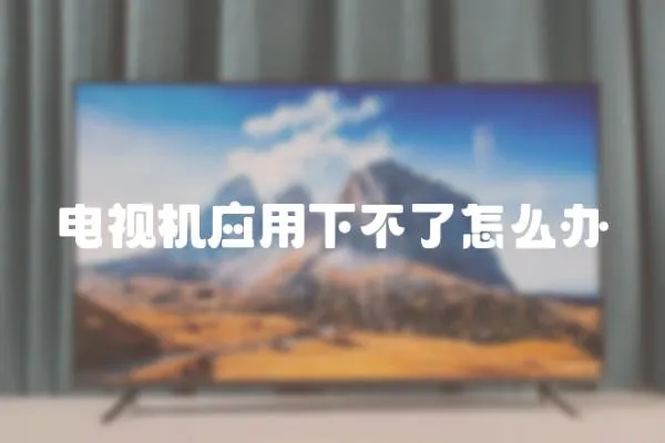 電視機應用下不了怎么辦