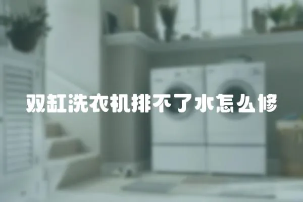 雙缸洗衣機排不了水怎么修