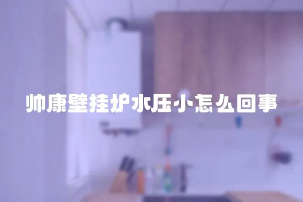 帥康壁掛爐水壓小怎么回事