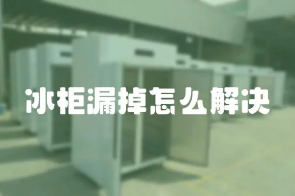 冰柜漏掉怎么解決